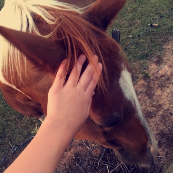 Meet your Posher, Destany - Picture 1 of 1